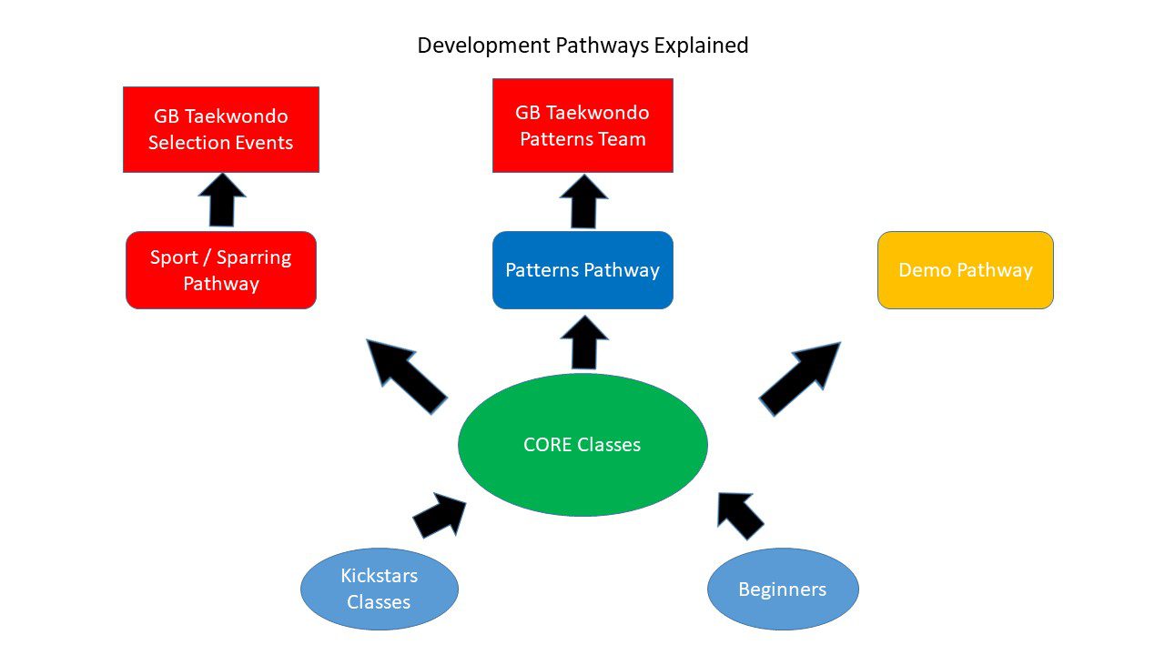 pathway flow diagram